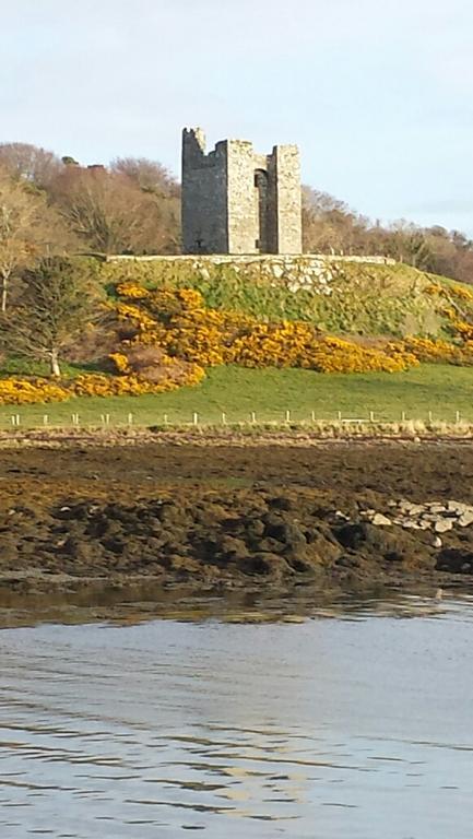 The Castle Apartment Strangford Exterior photo